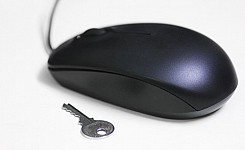 Accedir als cursos de formació online